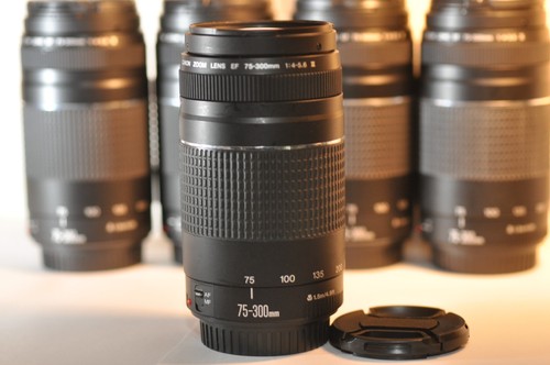Obiettivo canon 300mm - obiettivo,
